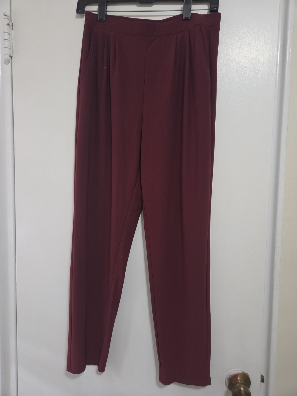 Leith Pleat Front Tapered Pants Sz S